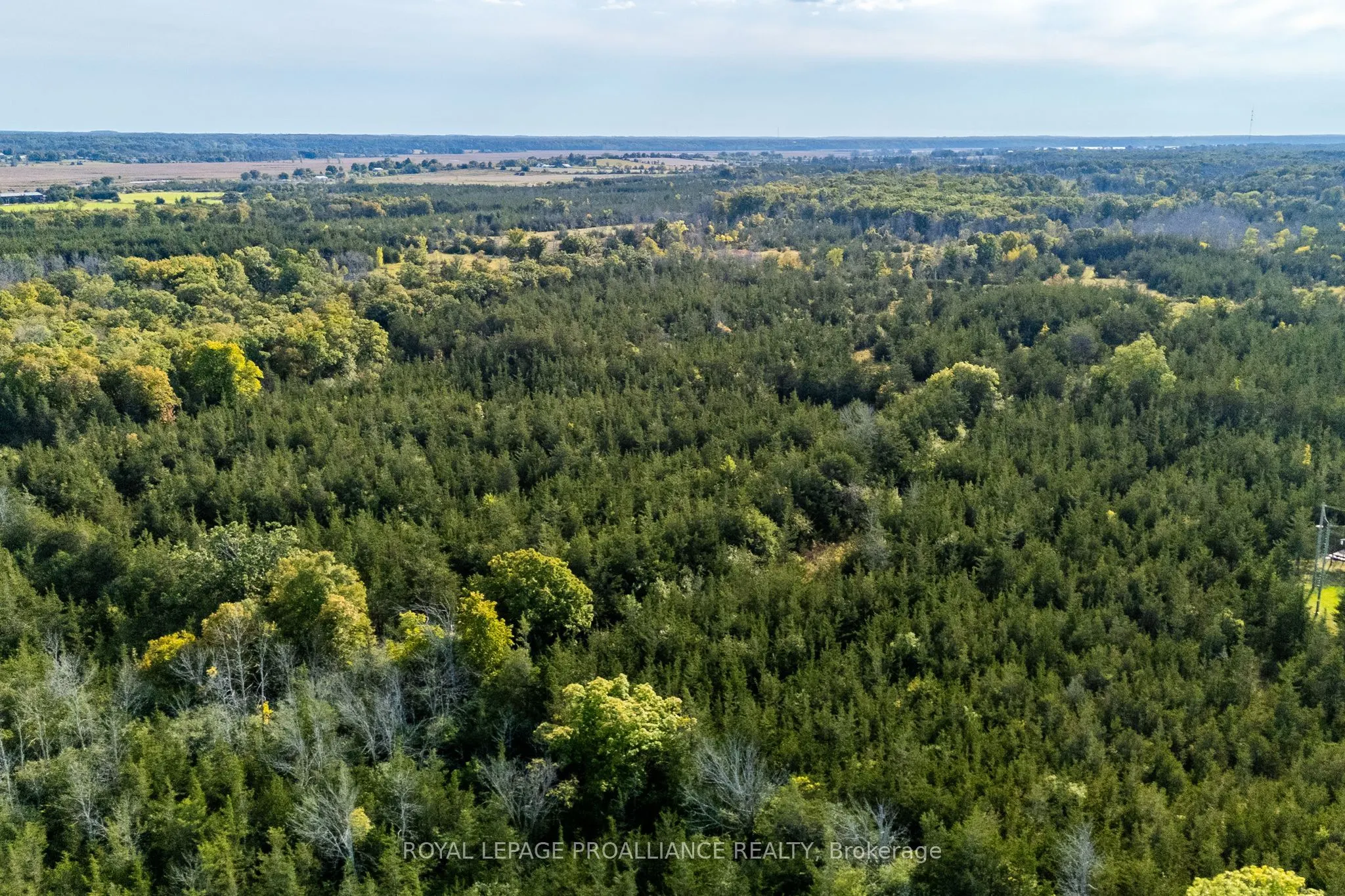 Lot 45 Sprague Road