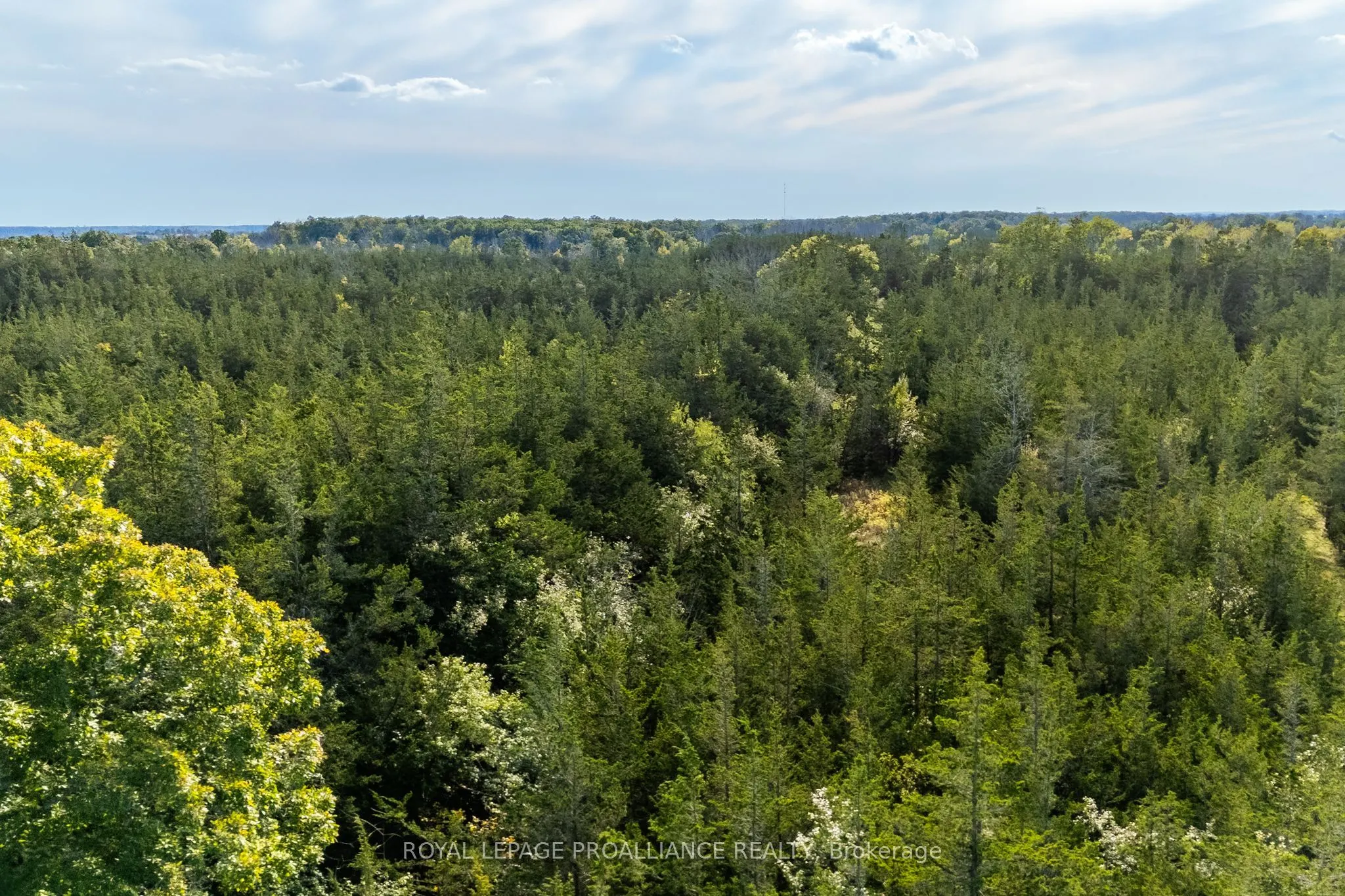 Lot 45 Sprague Road