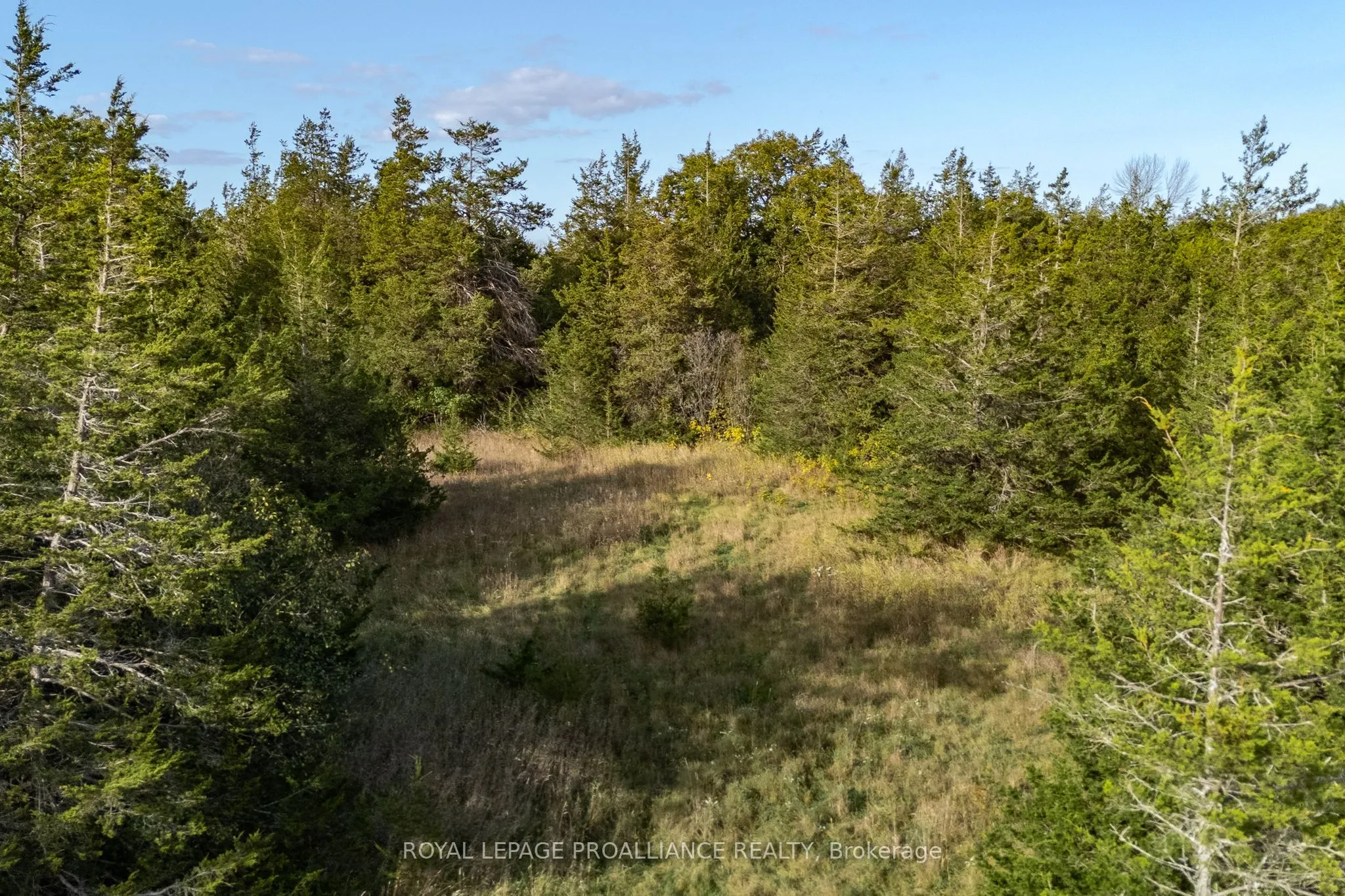 Lot 45 Sprague Road