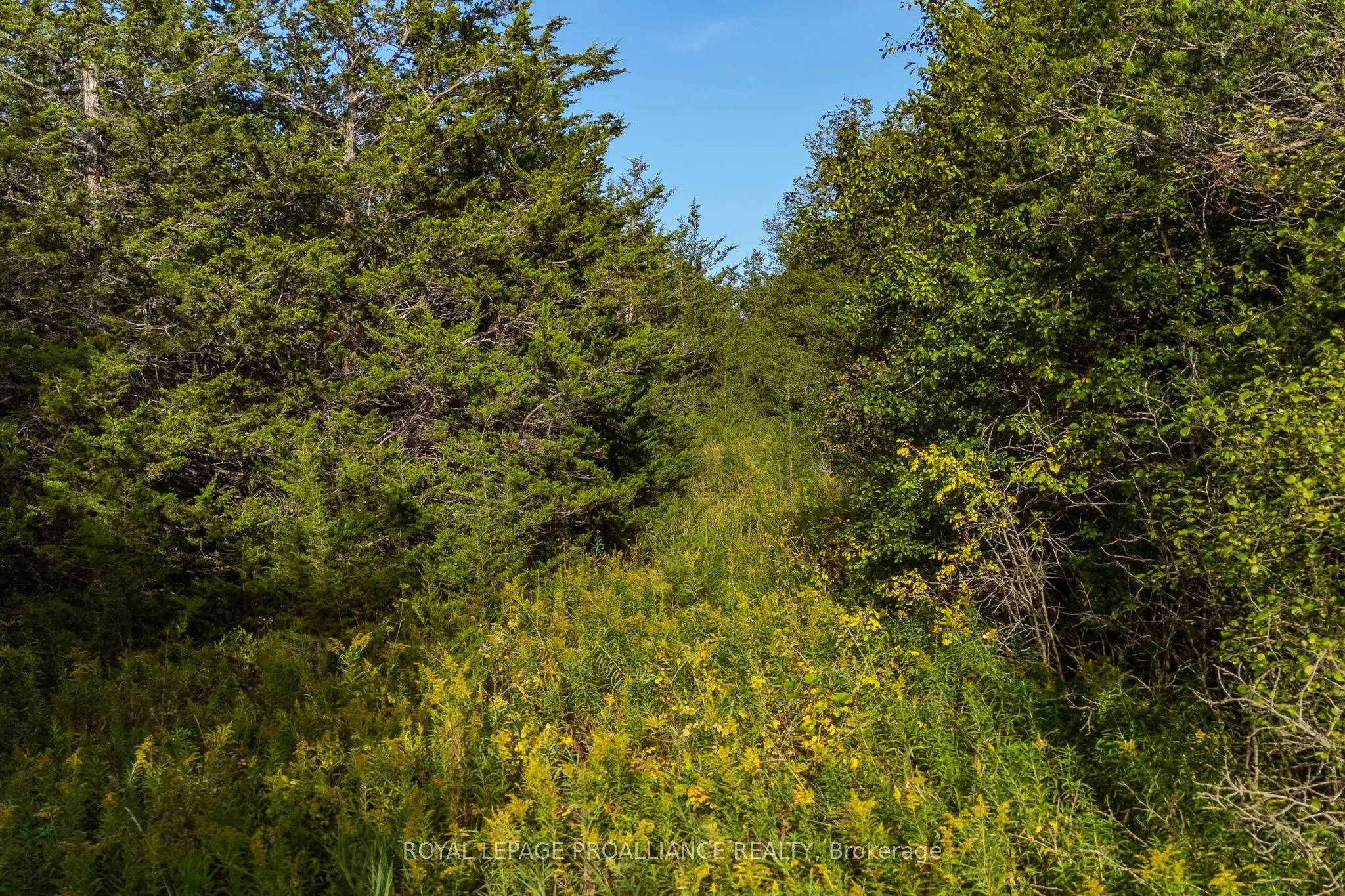 Lot 45 Sprague Road
