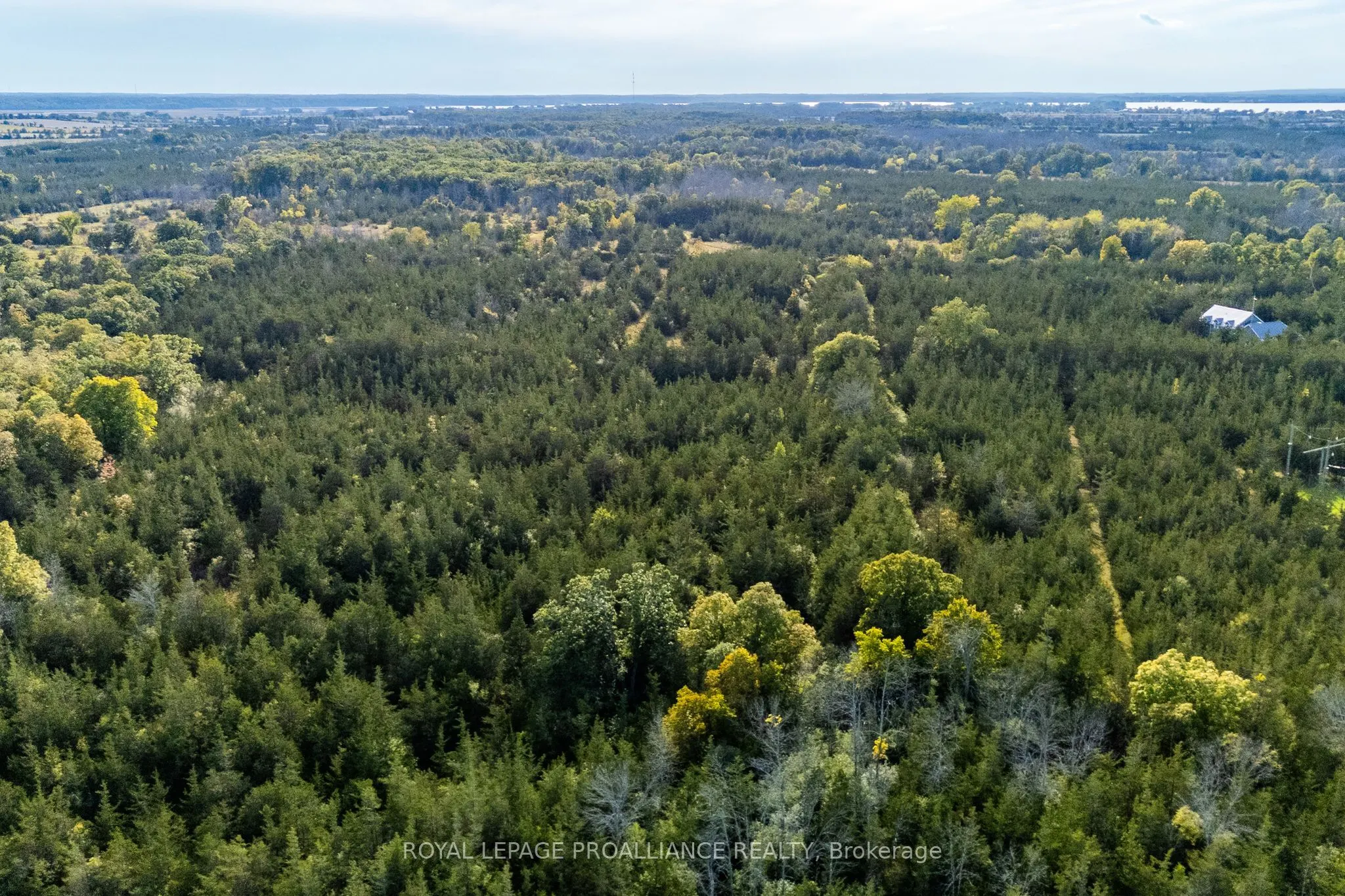 Lot 45 Sprague Road