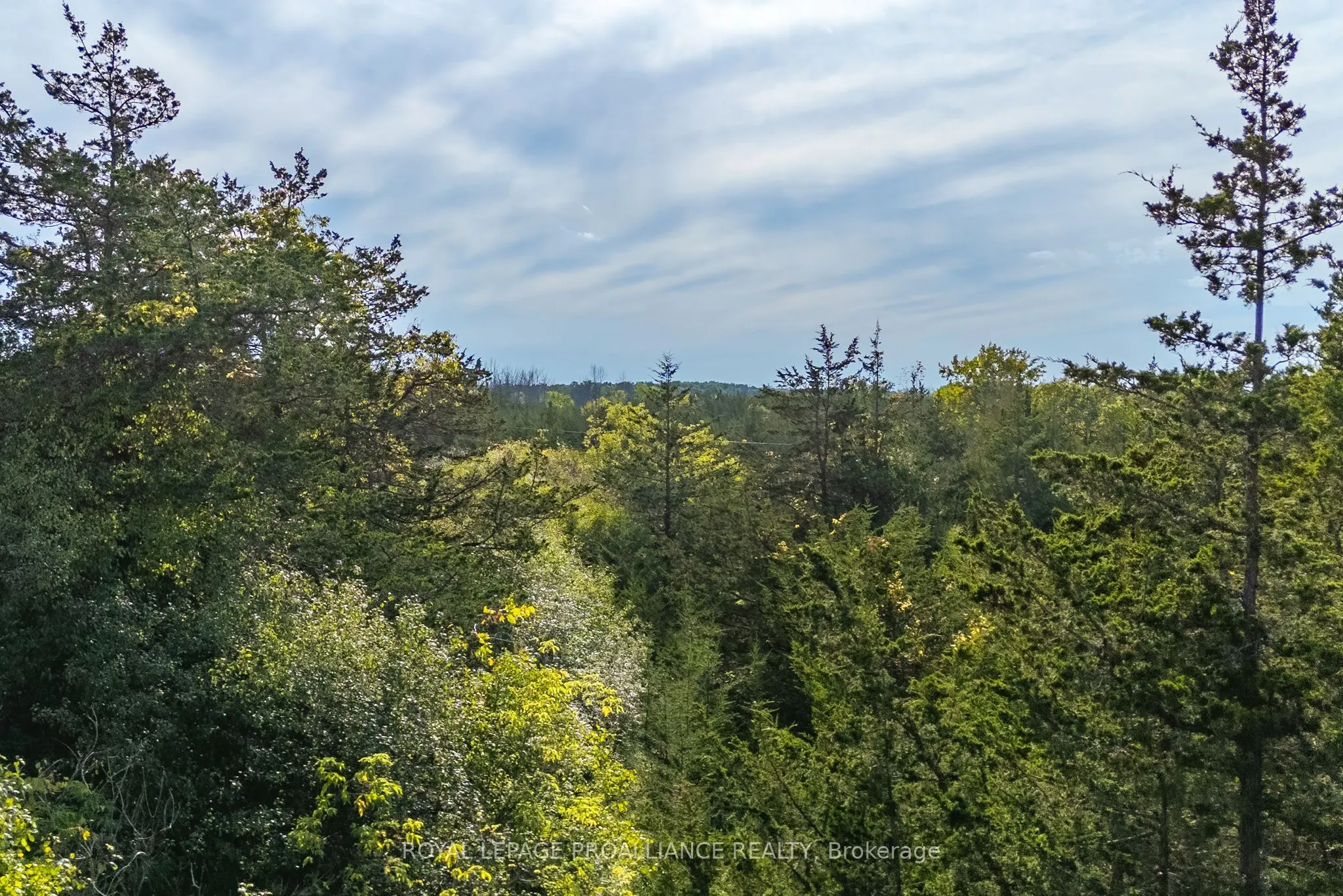 Lot 45 Sprague Road