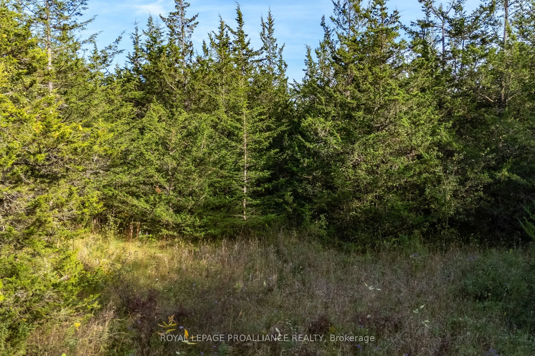 Lot 45 Sprague Road