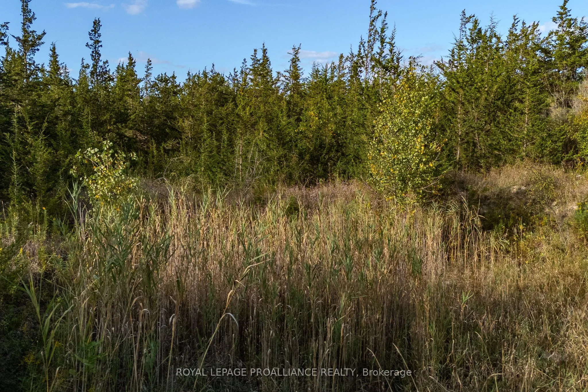 Lot 45 Sprague Road