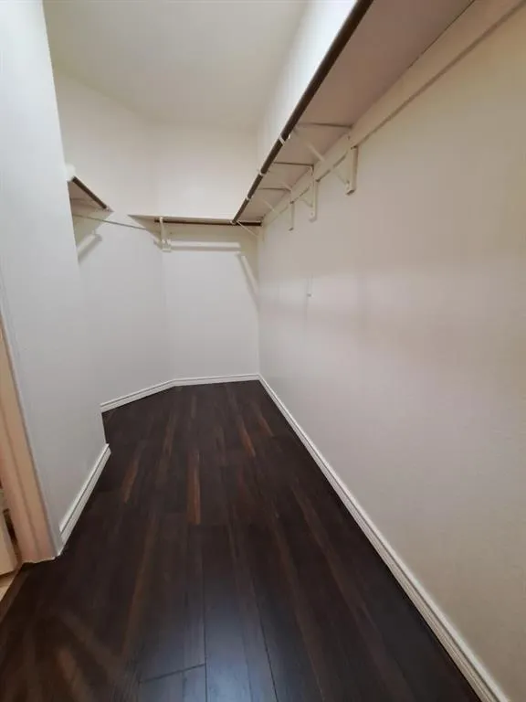 808 Snapdragon Lane