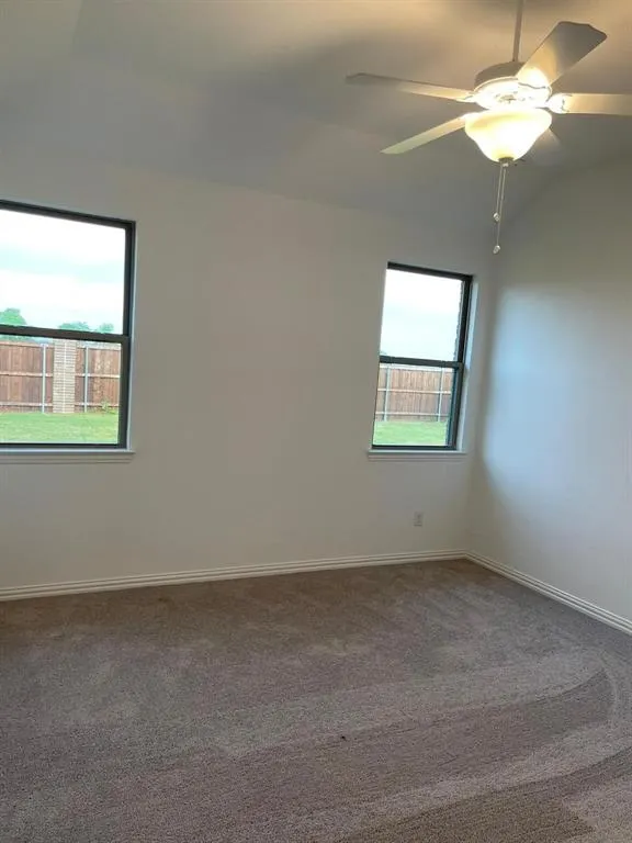 3802 Chicory Court