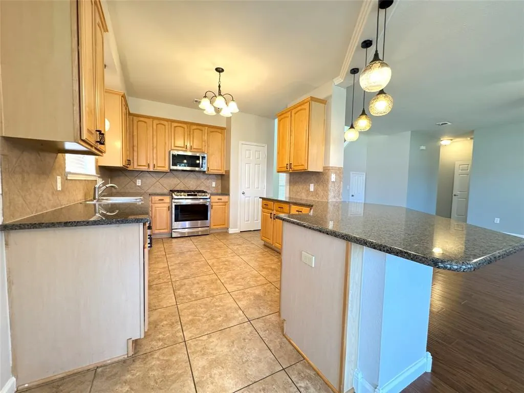 11658 Snyder Drive