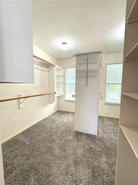 11658 Snyder Drive