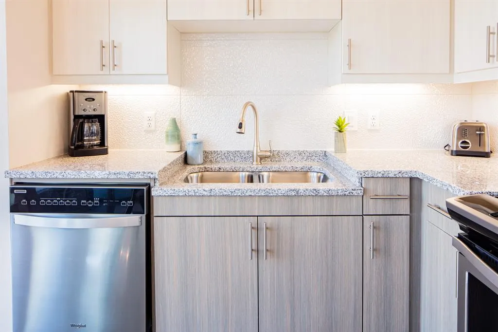 830 N Zang Boulevard, #1310