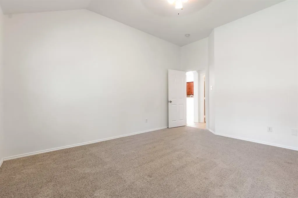 1621 Canvasback