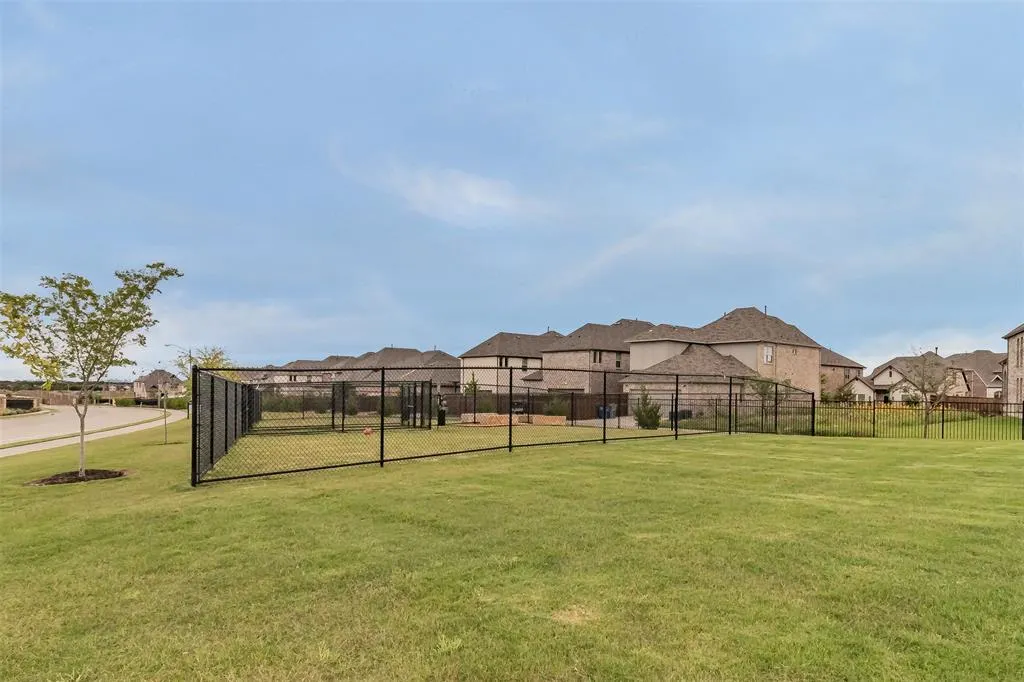 17365 Texas Pistache Drive