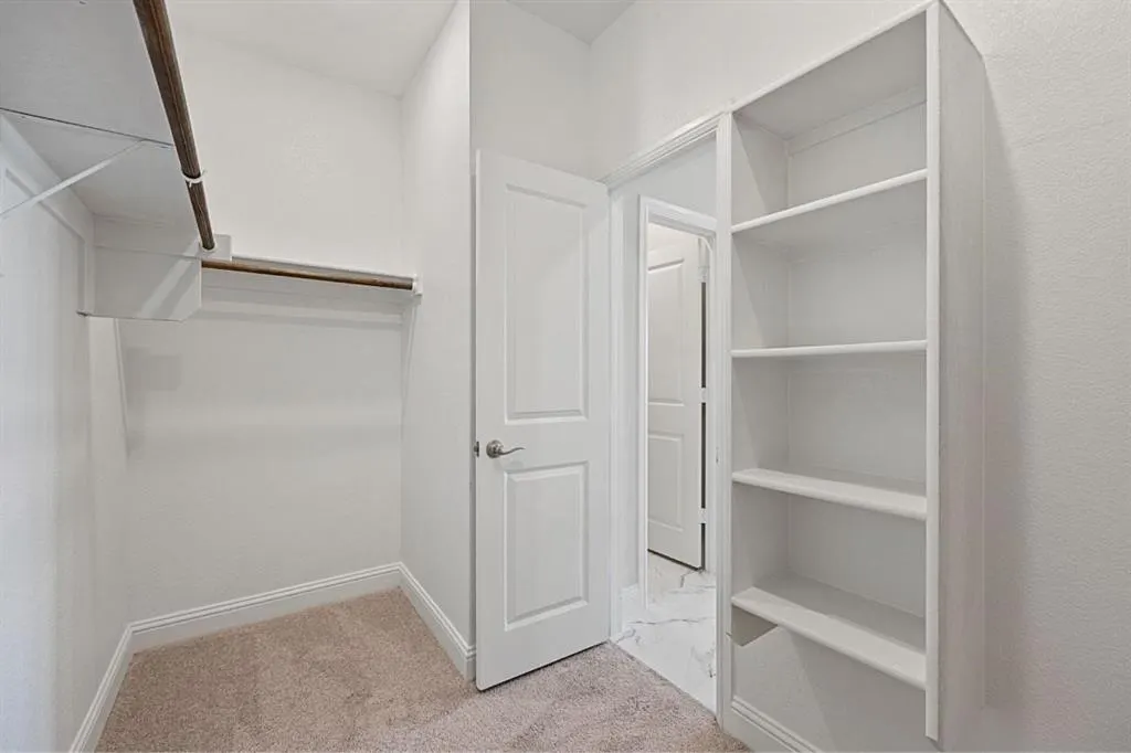 10643 Downy Cup Drive