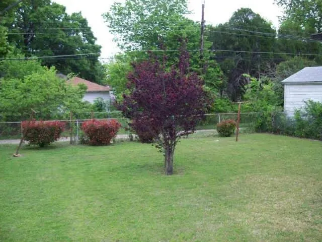 2703 Eagle Drive