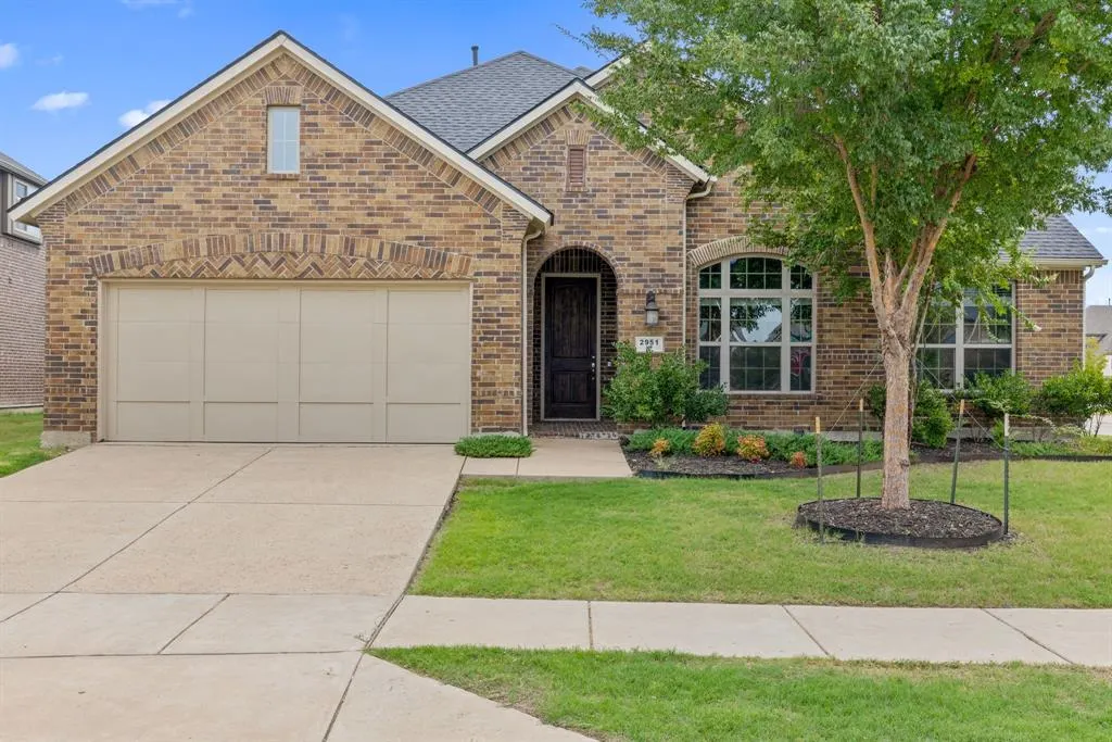 2951 Cannon Drive