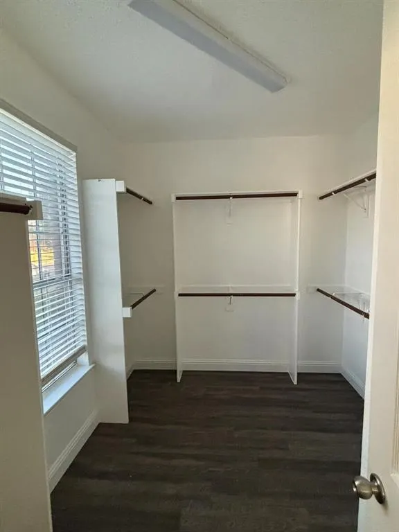207 Trailwood Drive