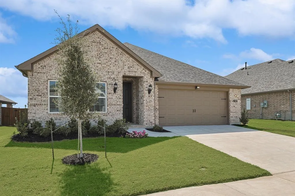 509 Amenduni Lane