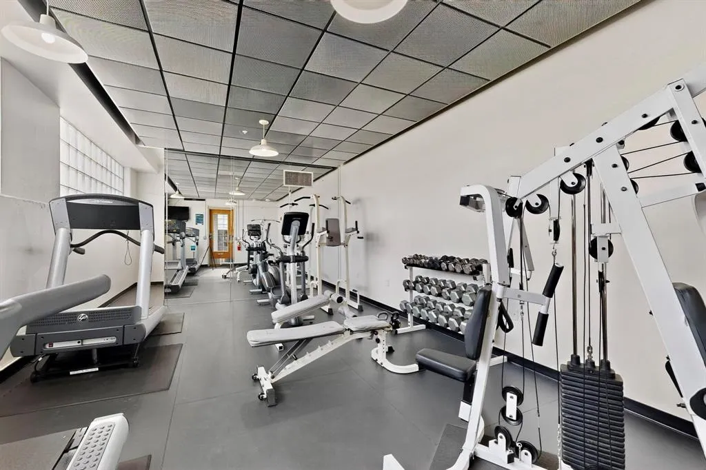 2502 Live Oak Street, #330