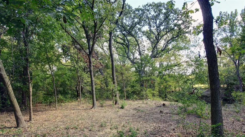 3227 Berry Hollow