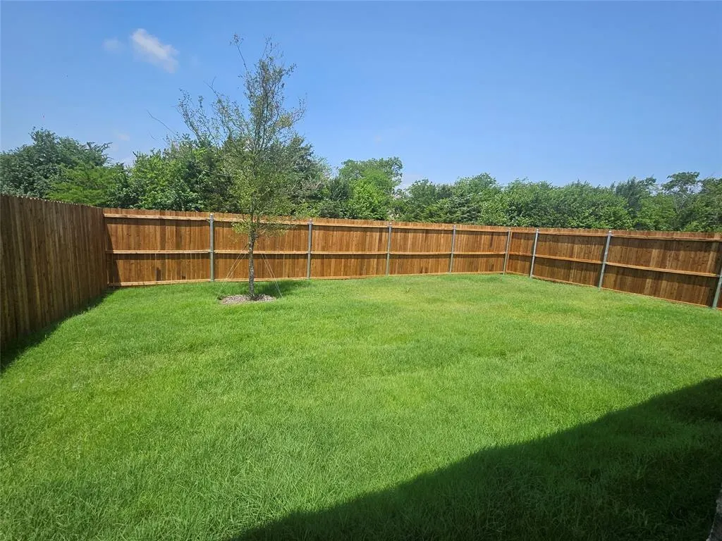 4522 Wood Fern