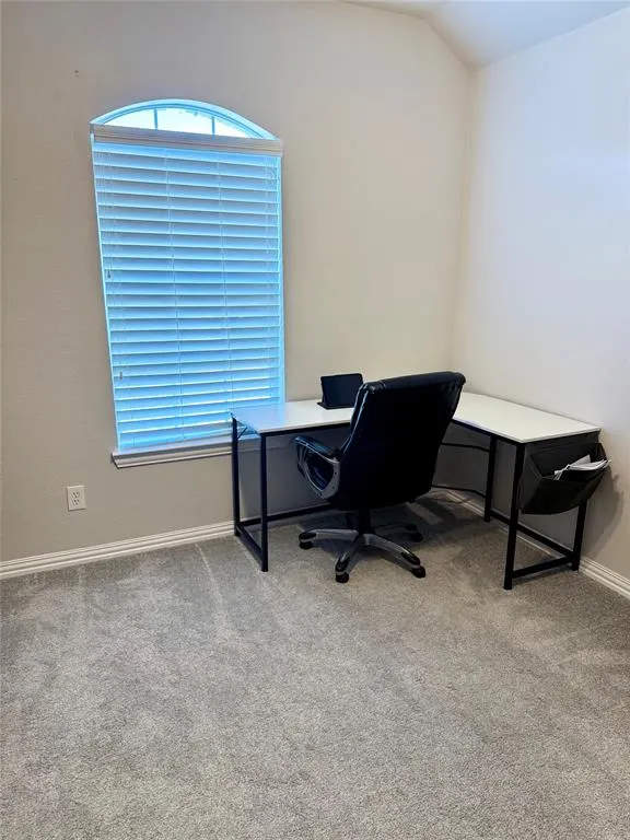 6005 Blue Spruce Lane