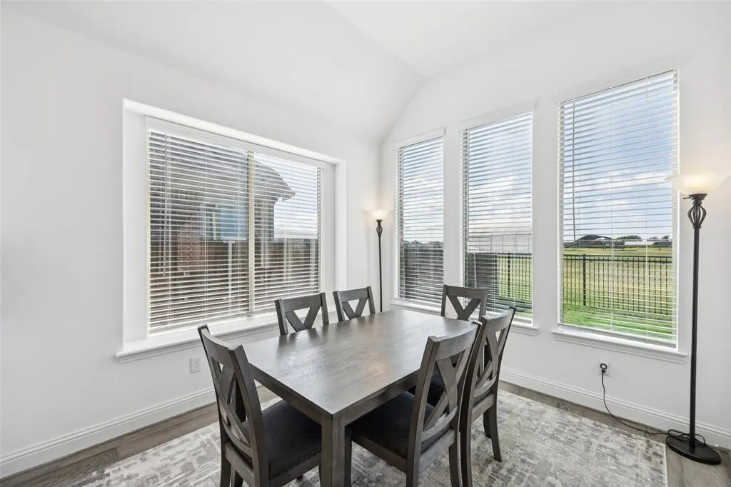 17311 Texas Pistache Drive