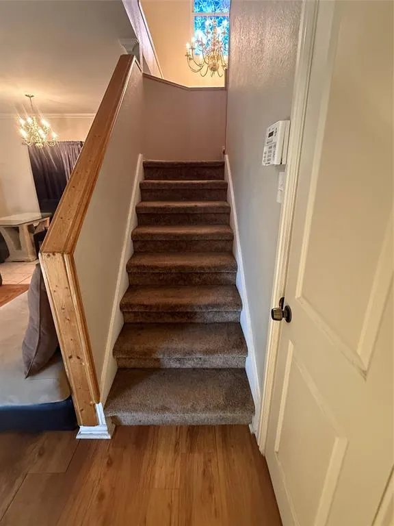 10216 Big Thicket Drive