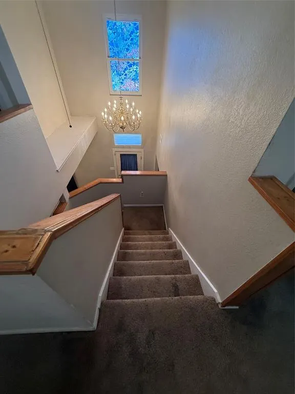 10216 Big Thicket Drive