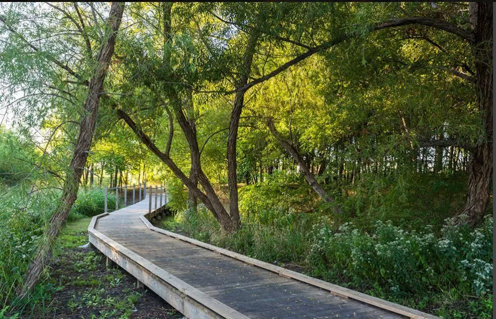 7636 Cherry Blossom Lane