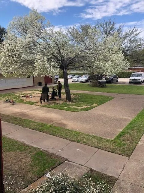 919 S Weatherred Drive, #206