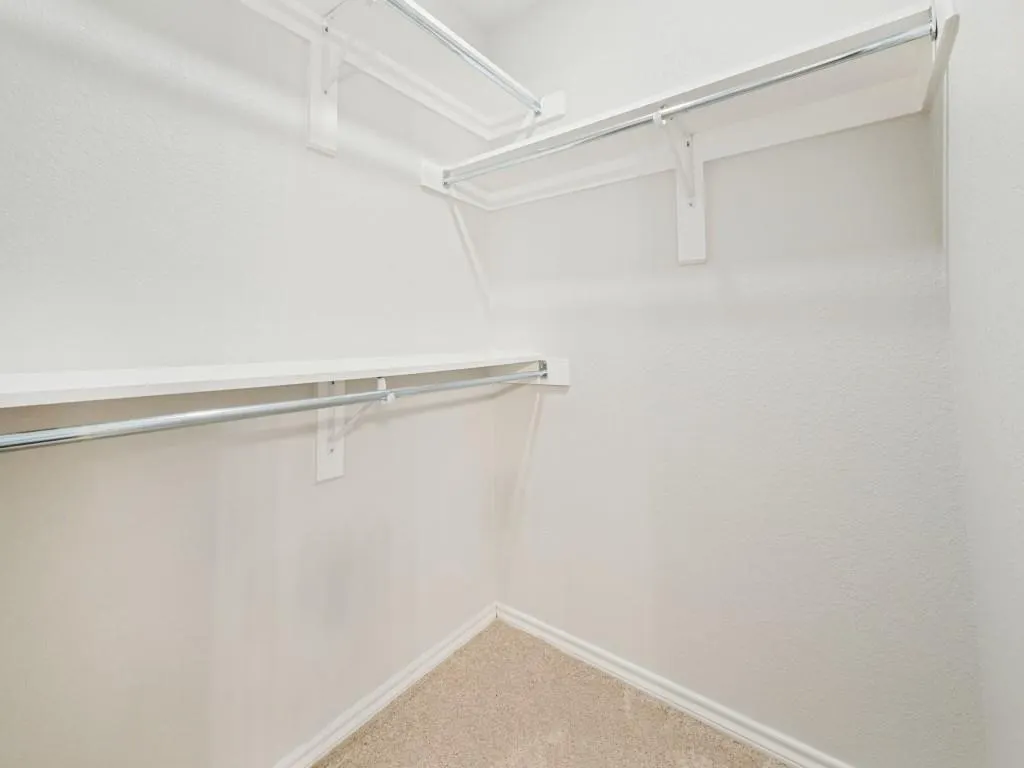 1005 Diane Street