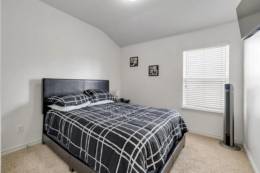 7004 Cotton Seed Drive