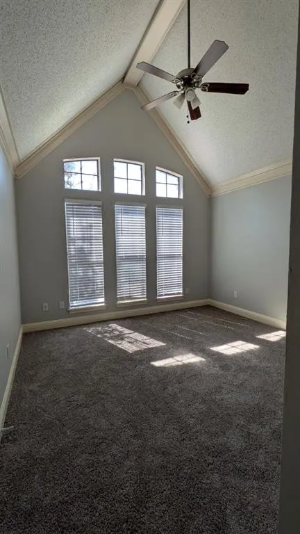 3101 Sandy Trail Lane