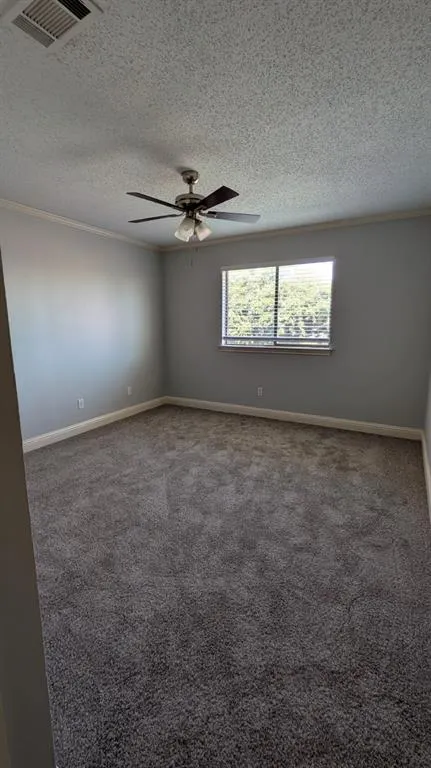 3101 Sandy Trail Lane