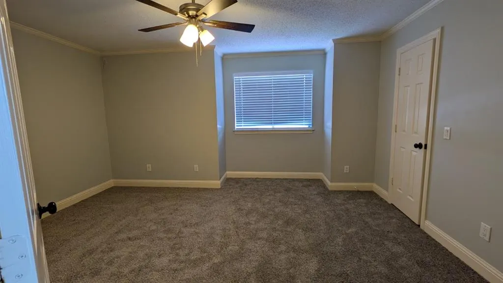 3101 Sandy Trail Lane