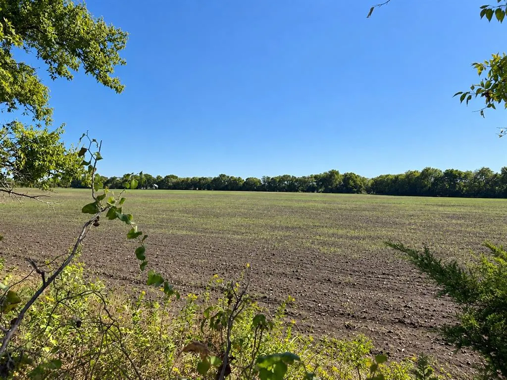 8560 County Road 513