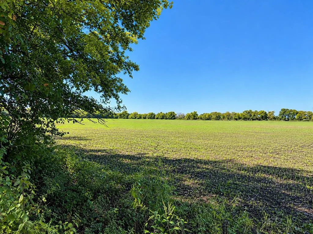 8560 County Road 513