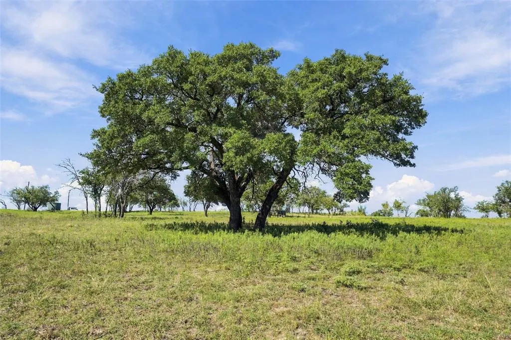 473 County Road 210