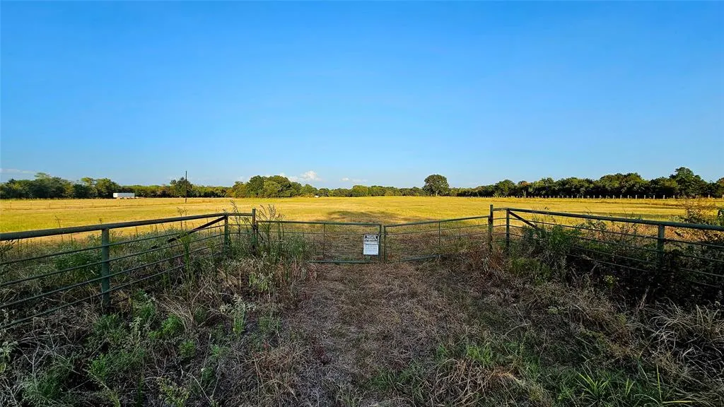 000 FM RD 513
