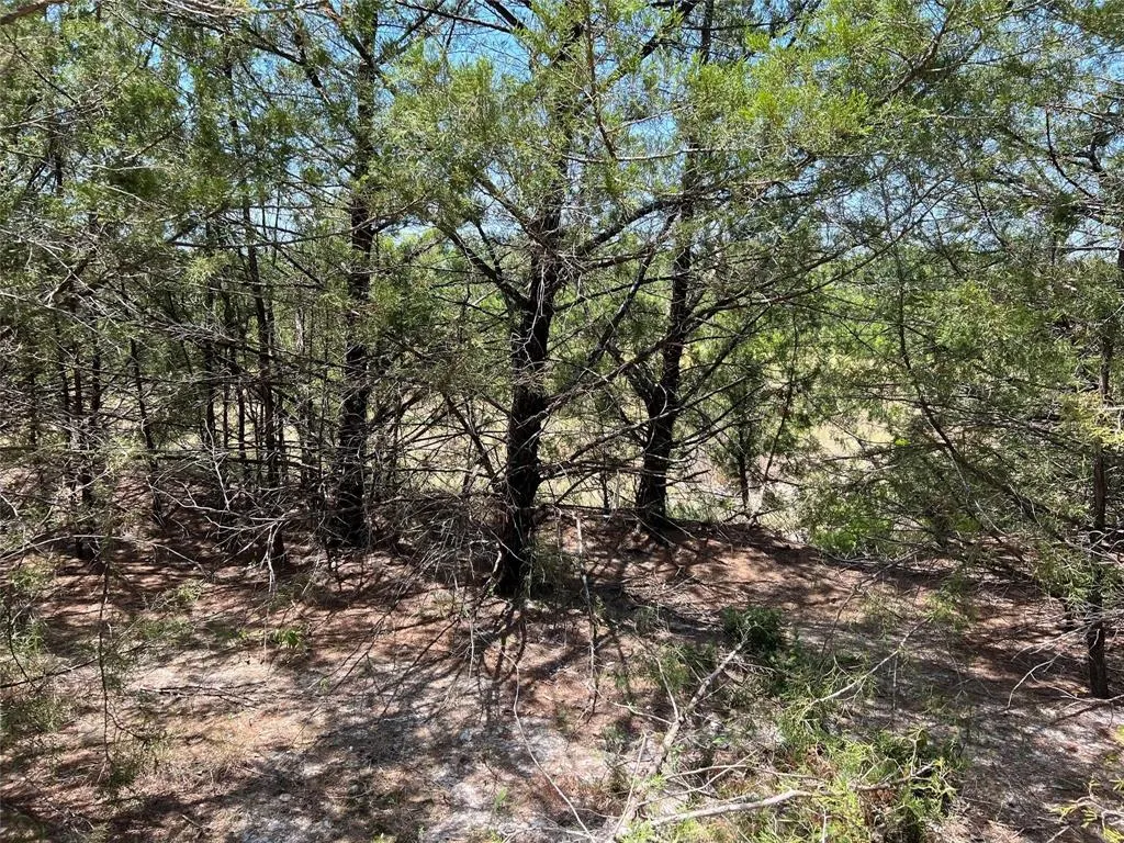 11AC Pilot Grove Road