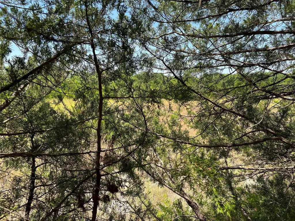 11AC Pilot Grove Road