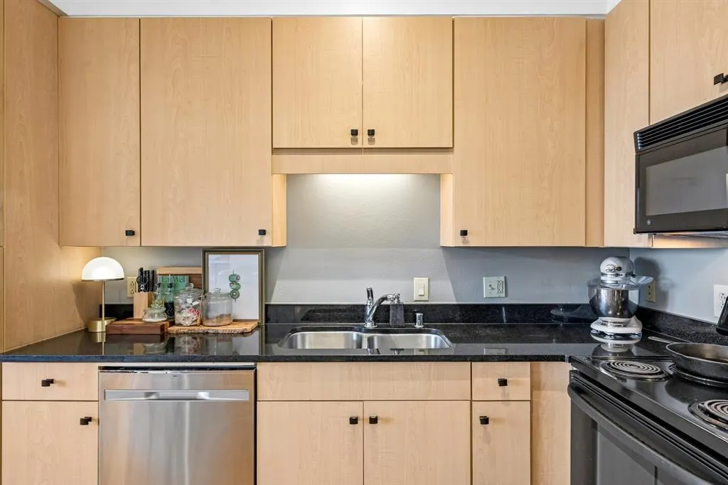 3225 Turtle Creek Boulevard #914