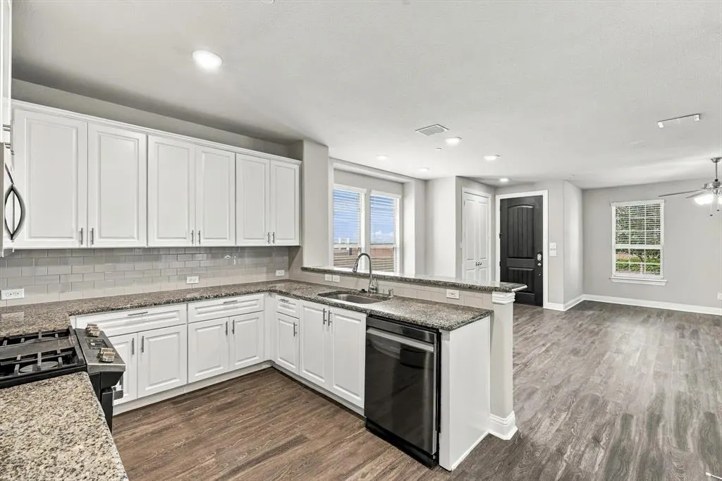 4641 Piedras Lanzar Drive