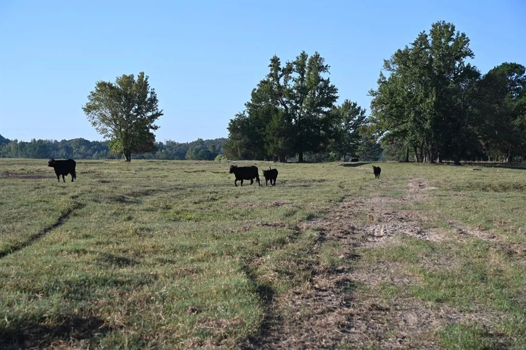TBD County Road 483