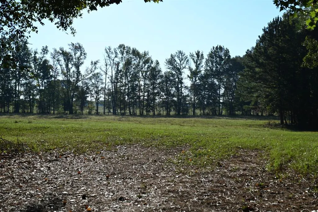 TBD County Road 483