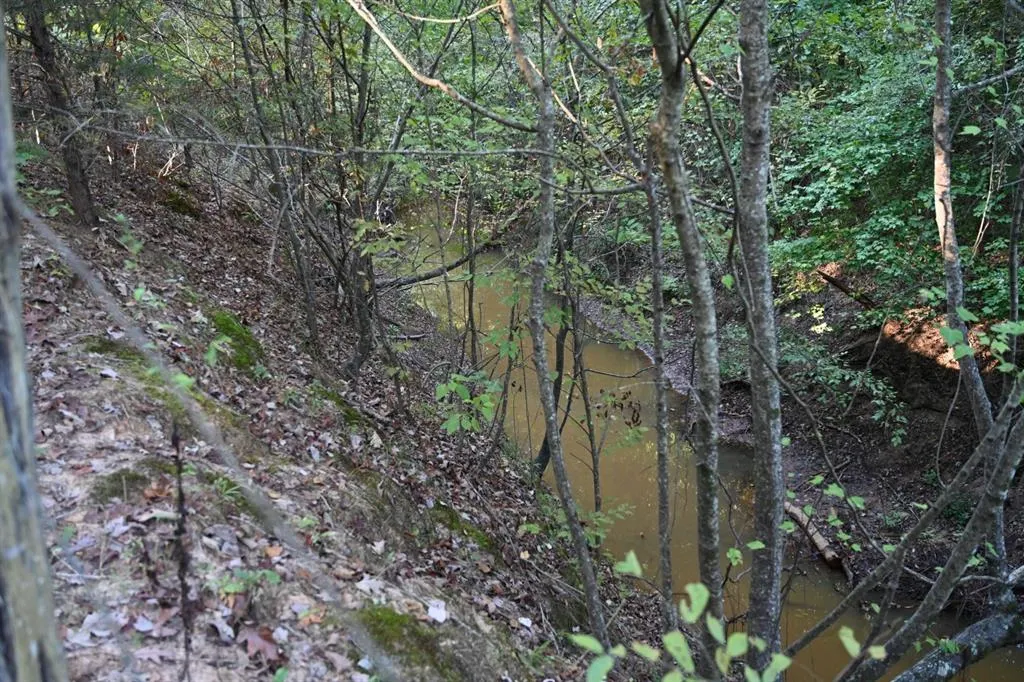 TBD County Road 483