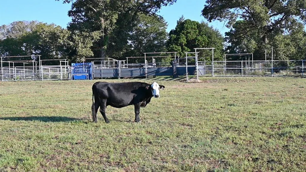 TBD County Road 483