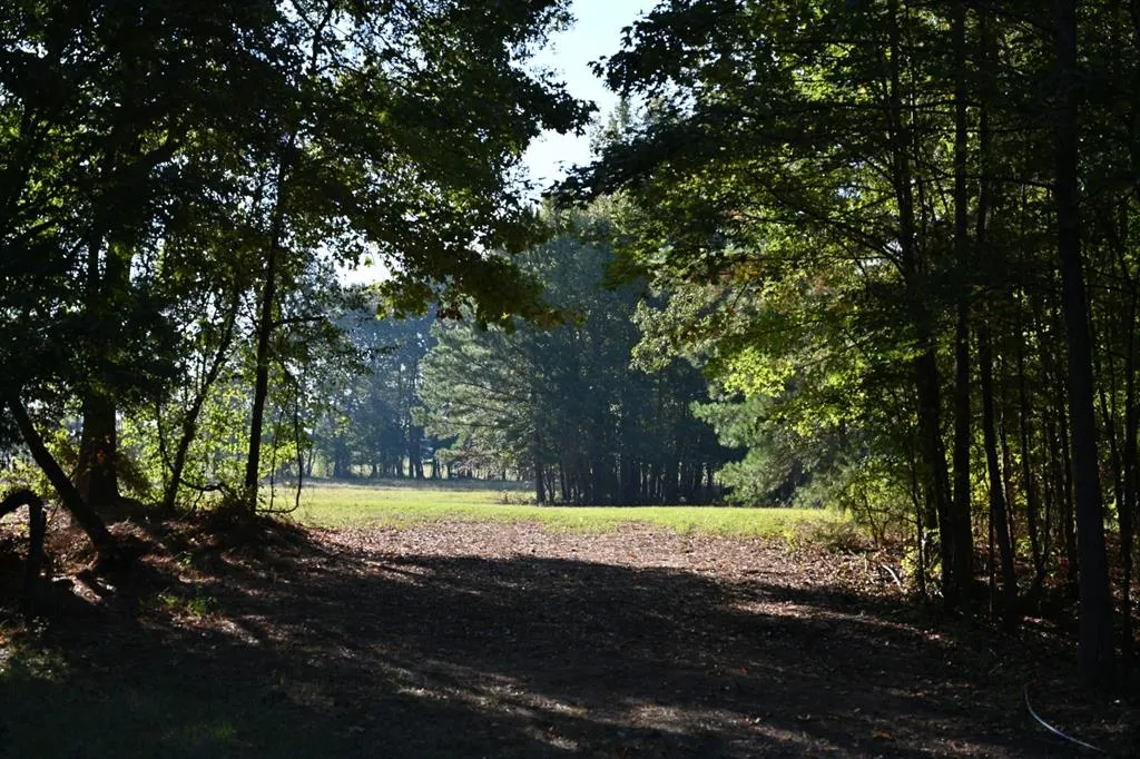 TBD County Road 483