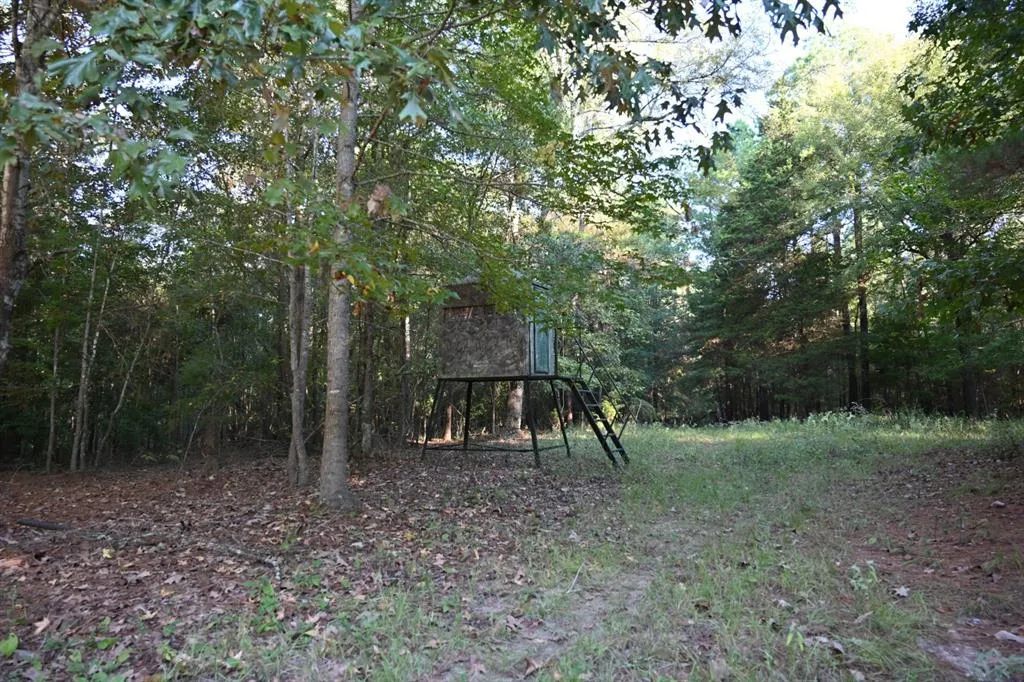 TBD County Road 483