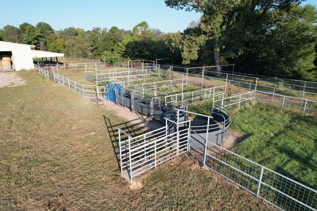 TBD County Road 483