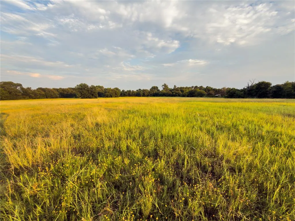 Lot 2 Wilson Road